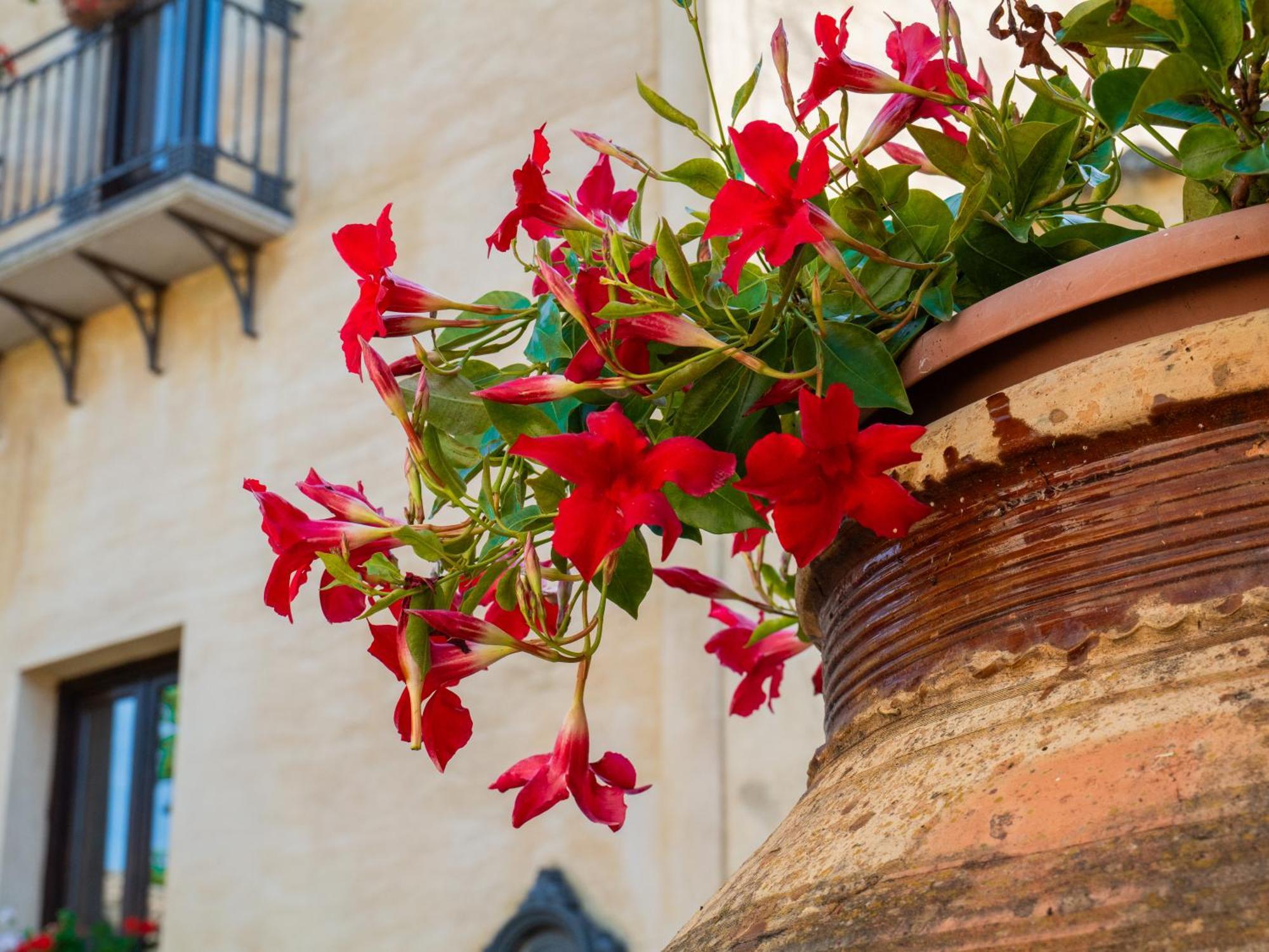 Agriturismo Baglio Fontana Buseto Palizzolo Eksteriør bilde