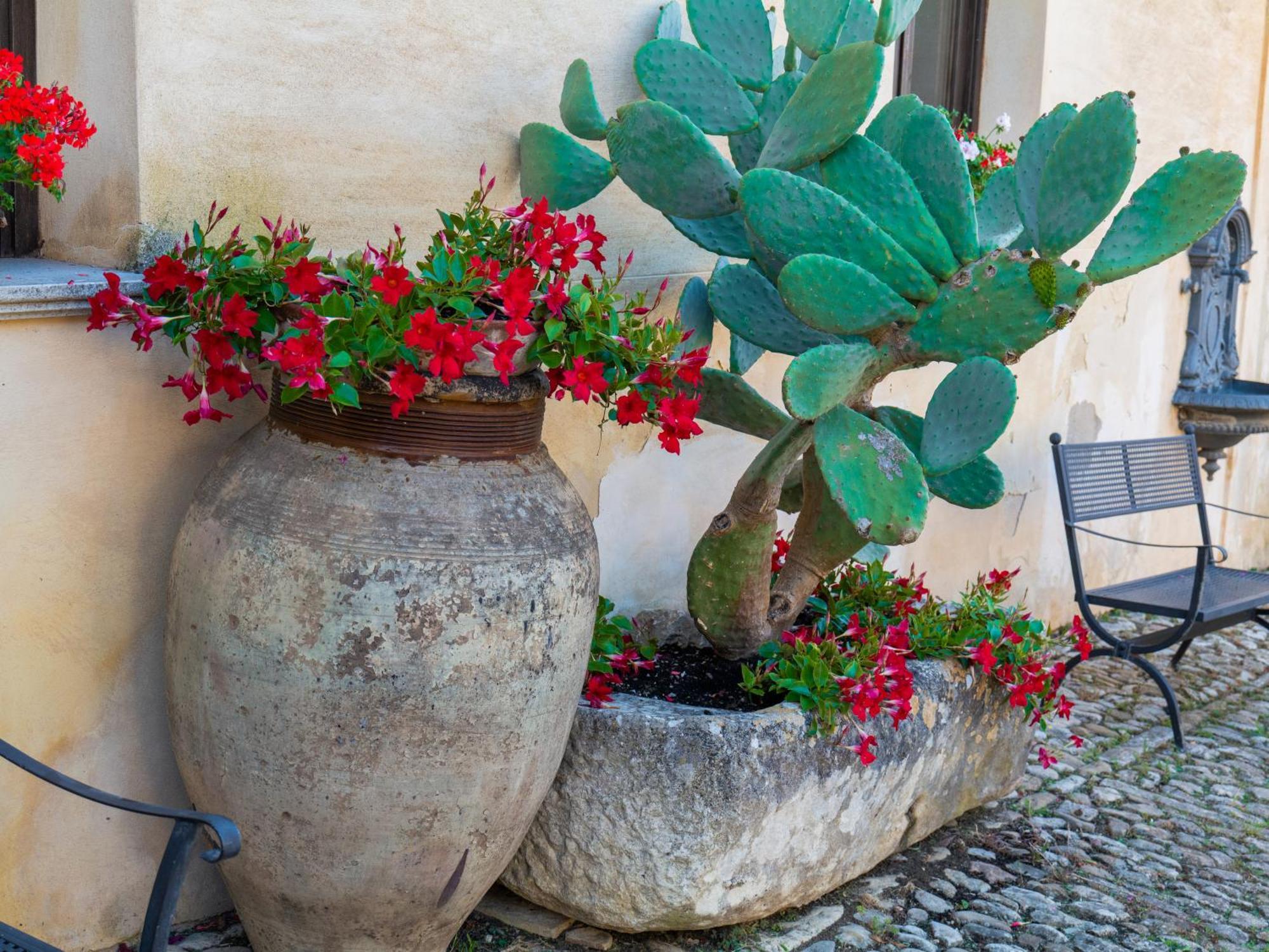 Agriturismo Baglio Fontana Buseto Palizzolo Eksteriør bilde